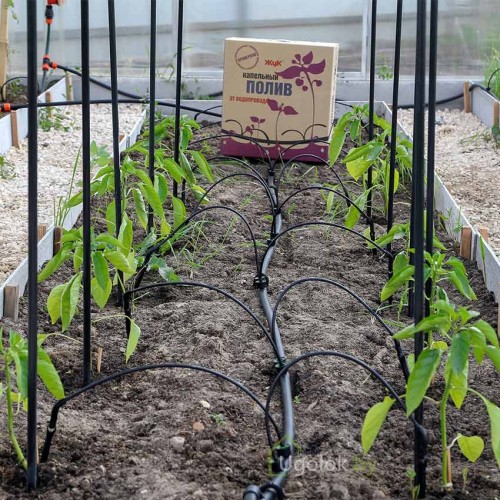 Капельный полив от водопровода ЖУК 30 растений