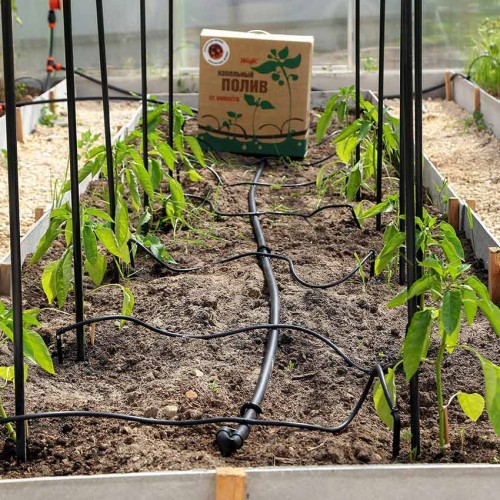 Капельный полив от емкости Жук 60 растений (тепличный) Капельный полив от емкости Жук 60 растений (тепличный)