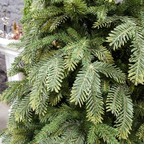 Елка искусственная Ноэль 210 см GrandCity