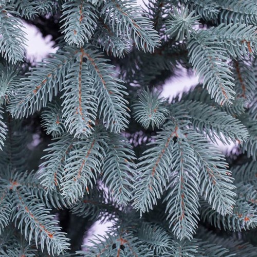 Елка новогодняя Премиум голубая 280 см РЕ GrandCity