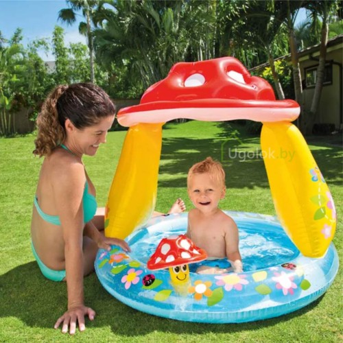 Бассейн детский Intex Мухомор с навесом 102x89 см (57114NP) Бассейн детский Intex Мухомор с навесом 102x89 см (57114NP)