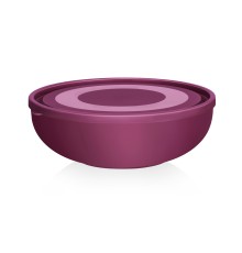 Салатница с крышкой 2,6л (вишневый)