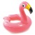 Круг надувной разъёмный Intex Фламинго 76х55 см (59220) 3-6 лет Круг надувной разъёмный Intex Фламинго 76х55 см (59220) 3-6 лет