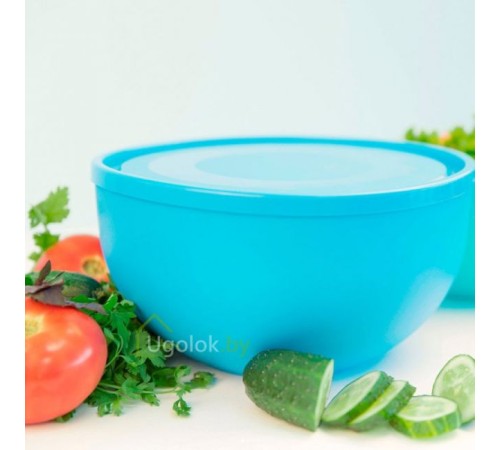 Салатница 2.5 л с крышкой (голубой)