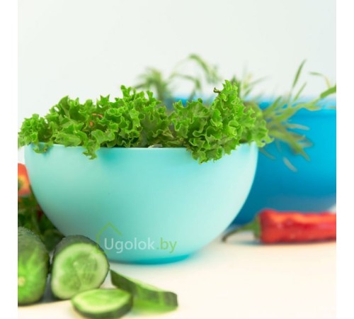 Салатница 2.5 л с крышкой (голубой)