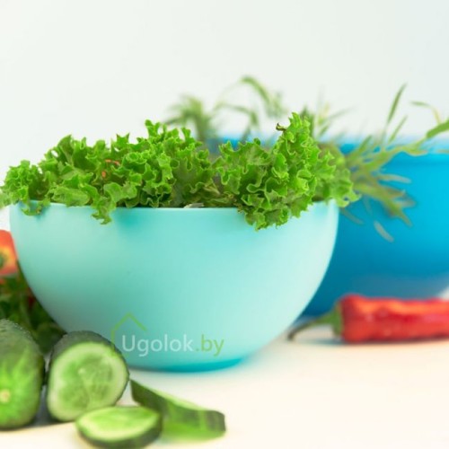 Салатница 2.5 л с крышкой (салатовый)