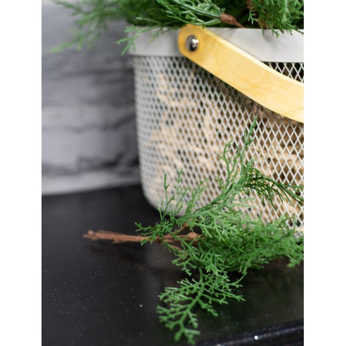 Ветка искусственной туи зеленая, 25 см (55657) Ветка искусственной туи зеленая, 25 см (55657)