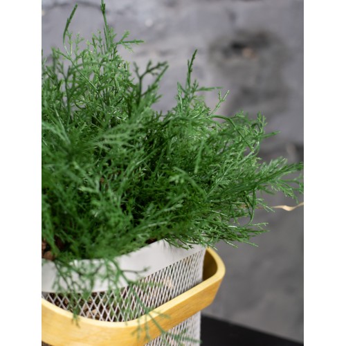 Ветка искусственной туи зеленая, 25 см (55657) Ветка искусственной туи зеленая, 25 см (55657)