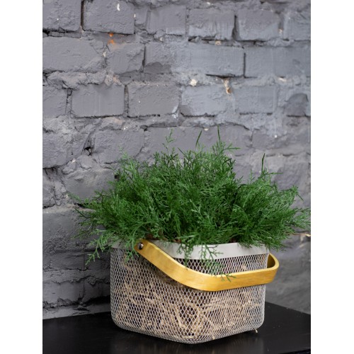 Ветка искусственной туи зеленая, 25 см (55657) Ветка искусственной туи зеленая, 25 см (55657)