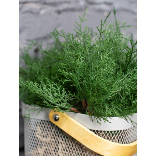 Ветка искусственной туи зеленая, 25 см (55657) Ветка искусственной туи зеленая, 25 см (55657)