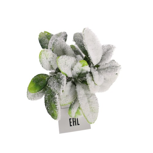 Ветка декоративная с заснеженными листьями, 22 см (29336) Ветка декоративная с заснеженными листьями, 22 см (29336)