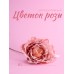 Цветок розы декоративный, розовый, 10 см (23330)