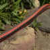 Шланг поливочный Garden Жук 1/2" 3-х слойный (бухта 25 метров) 8906-00 - фото 9 | Ugolok.by