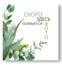 Контейнер для мусора Proff 2 л (серо-черный)