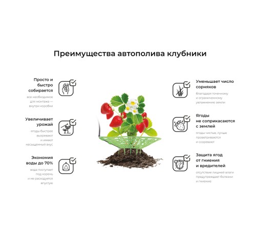 Капельный полив Жук для клубники от емкости 40 растений