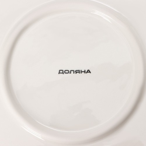 Блюдо для запекания «Дракоша»  28.5×25×4.3 см 9569561